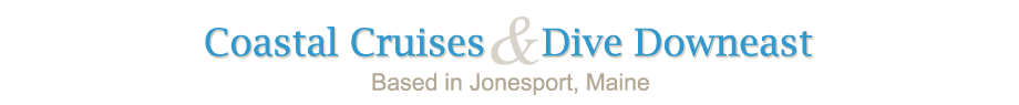 Coastal Cruises and Dive Downeast of Jonesport Maine